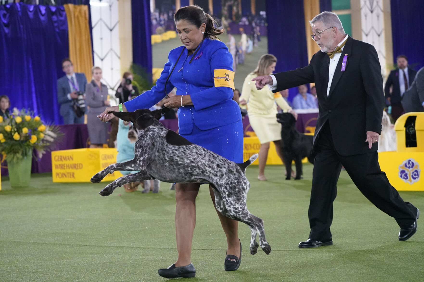 Westminster Dog Show
